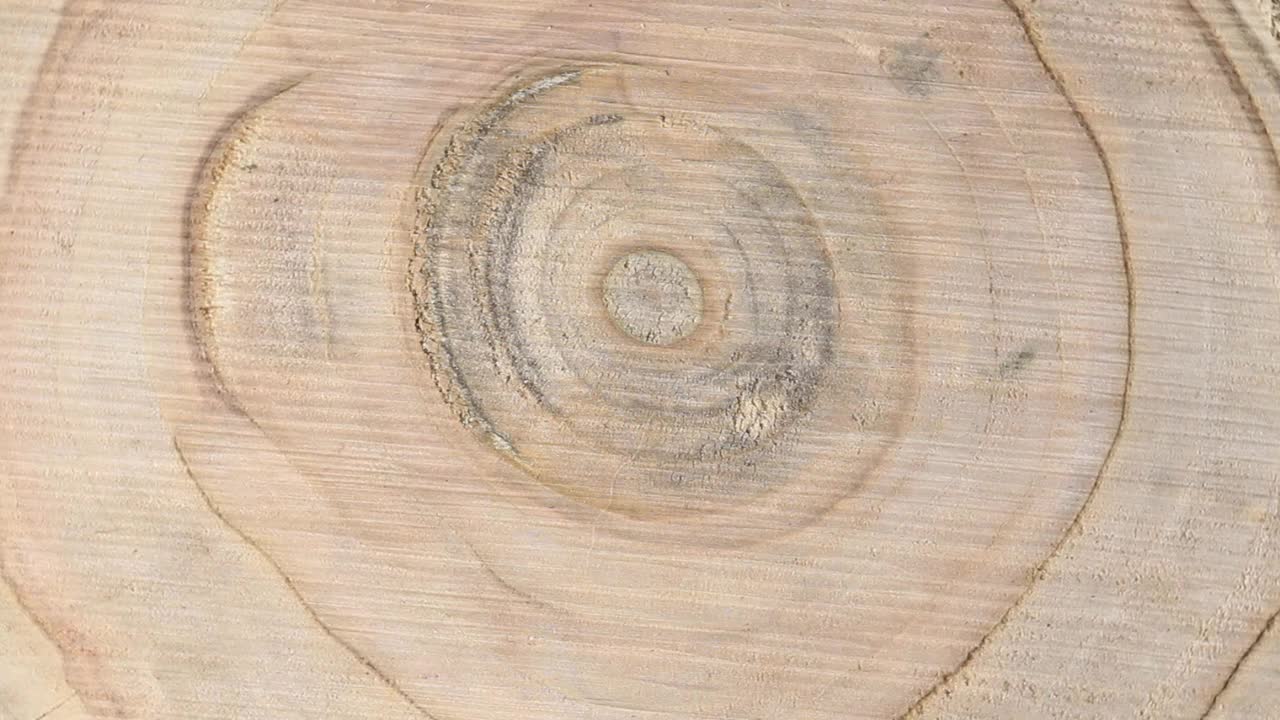 一张带有美丽年轮的梨树或苹果树的剪影在转盘上旋转，特写镜头视频素材