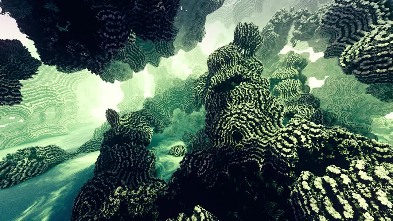 以中速在浅黄色和绿色的暗礁间潜水。3 d分形。视频素材