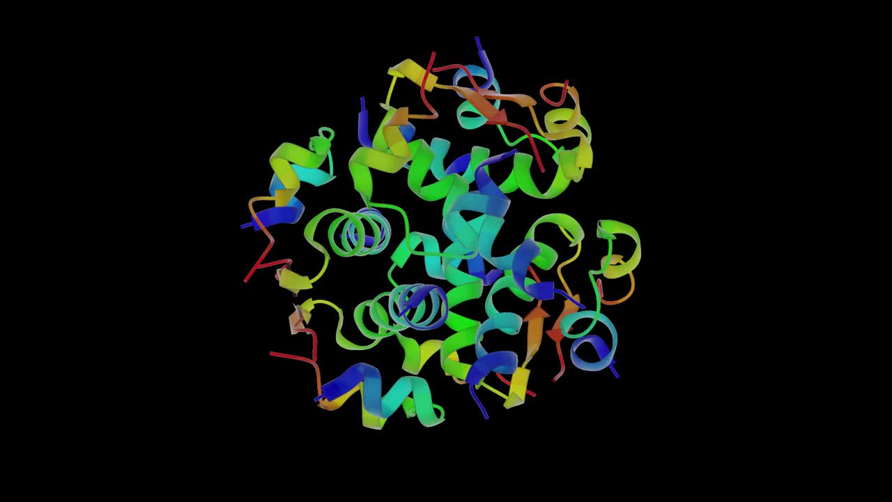 配体通过工程酰基化胰岛素控制六聚体、二聚体和线性多聚体结构
带结构视频下载