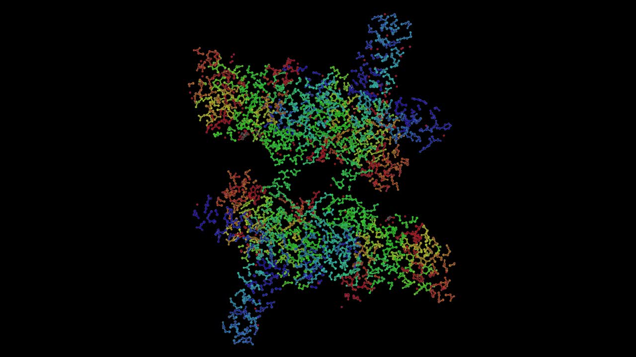 SARS-CoV非结构蛋白超复合物的晶体原子结构视频下载