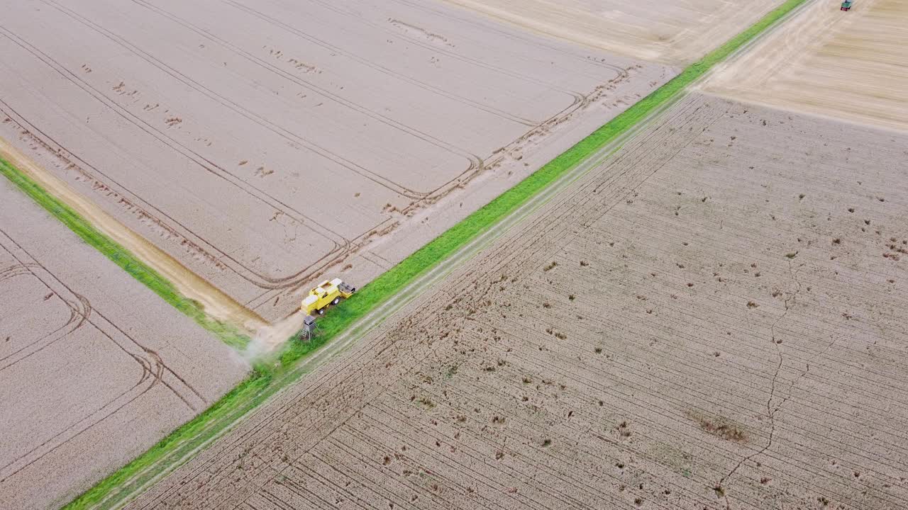 无人机飞过联合收割机收割谷物，鸟瞰图视频素材