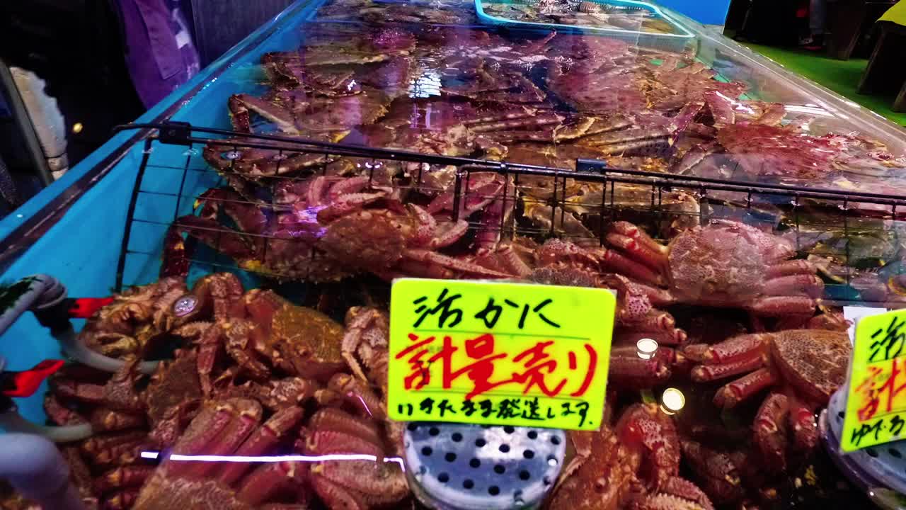 北海道帝王蟹在新鲜市场函馆日本北海道2017视频下载