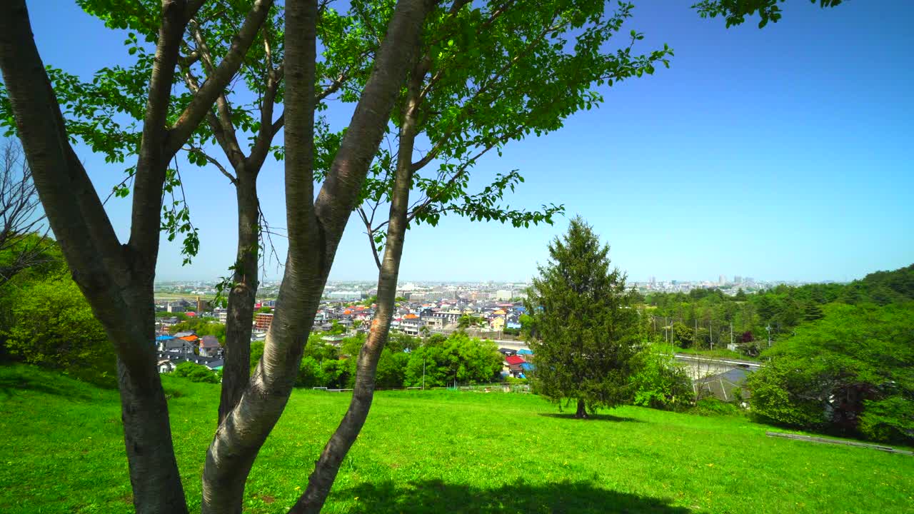 从山上的春天公园看住宅区，山上有美丽的新绿视频下载