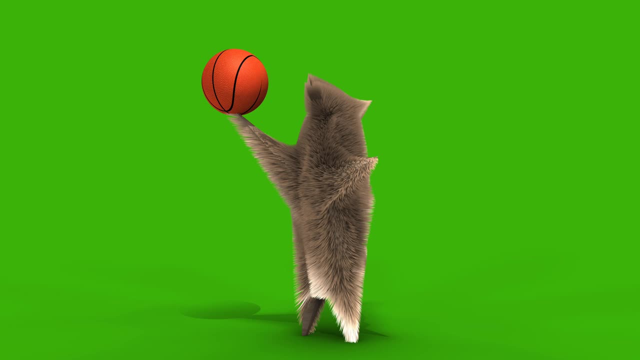 吉祥物的篮球运动员视频下载