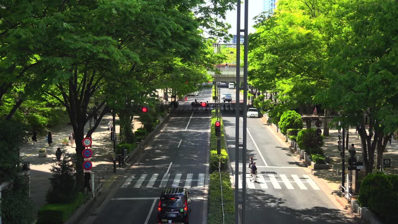 看到美丽的新绿色城市街道视频下载