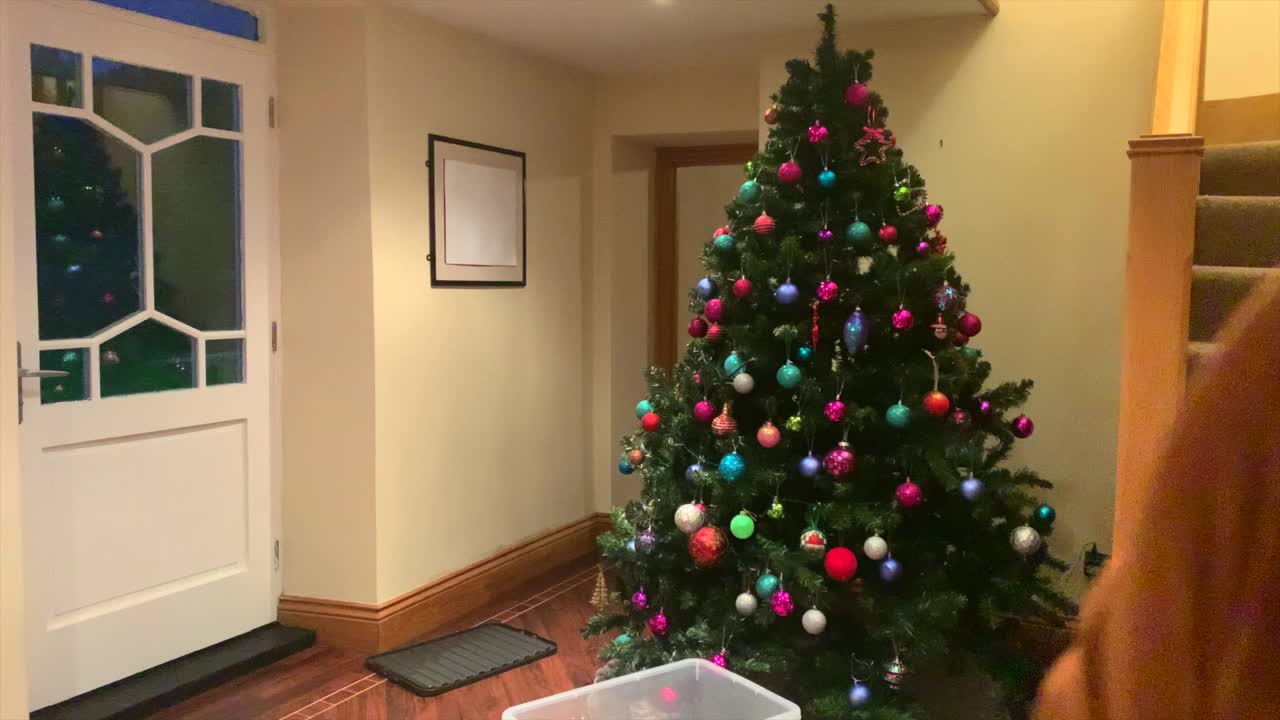 装饰圣诞树视频下载