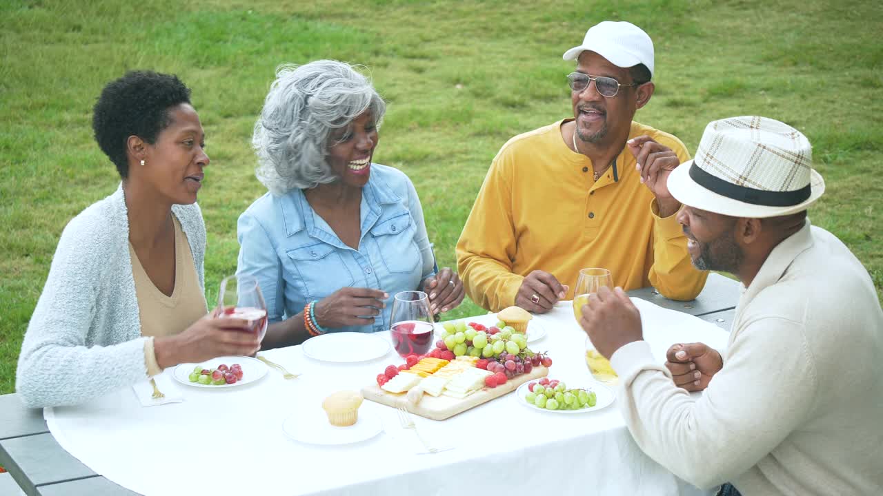 非裔美国人家庭聊天，在野餐桌上喝酒视频素材