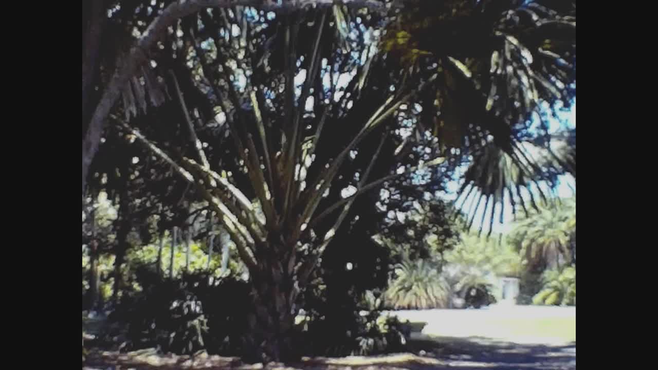 维尔京群岛1973年，维尔京群岛国家公园视频下载