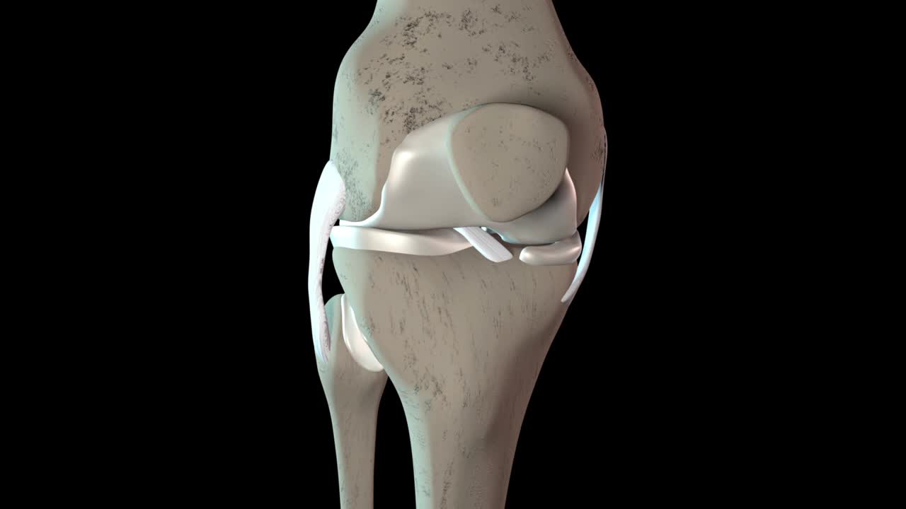 膝盖软骨损伤视频下载