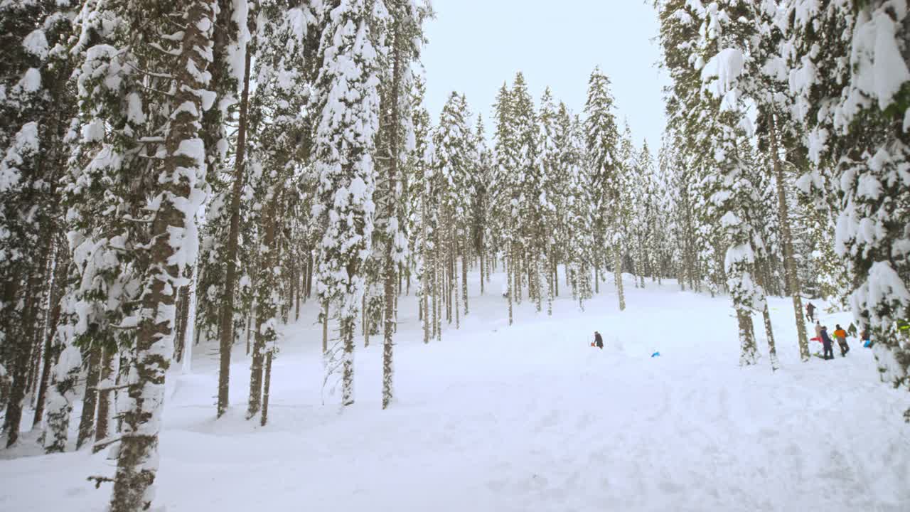 TD孩子们在森林里铲雪，玩得很开心视频素材