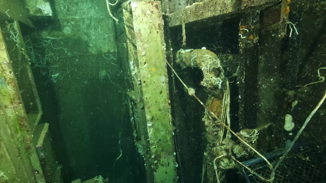 在沉船的瑞典渡轮MS Zenobia的船舱内。沉船潜水。地中海、塞浦路斯视频下载