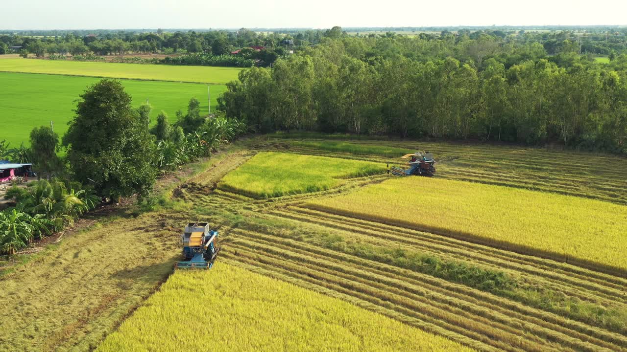 在收获地里用拖拉机收获水稻的航拍跟踪。视频素材