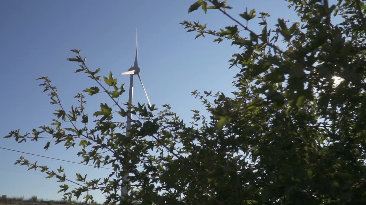 风力涡轮机和树枝视频素材