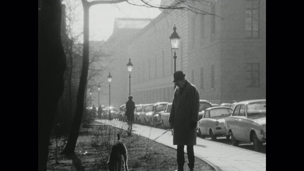 慕尼黑早上一个人遛狗的剪影;1966视频下载