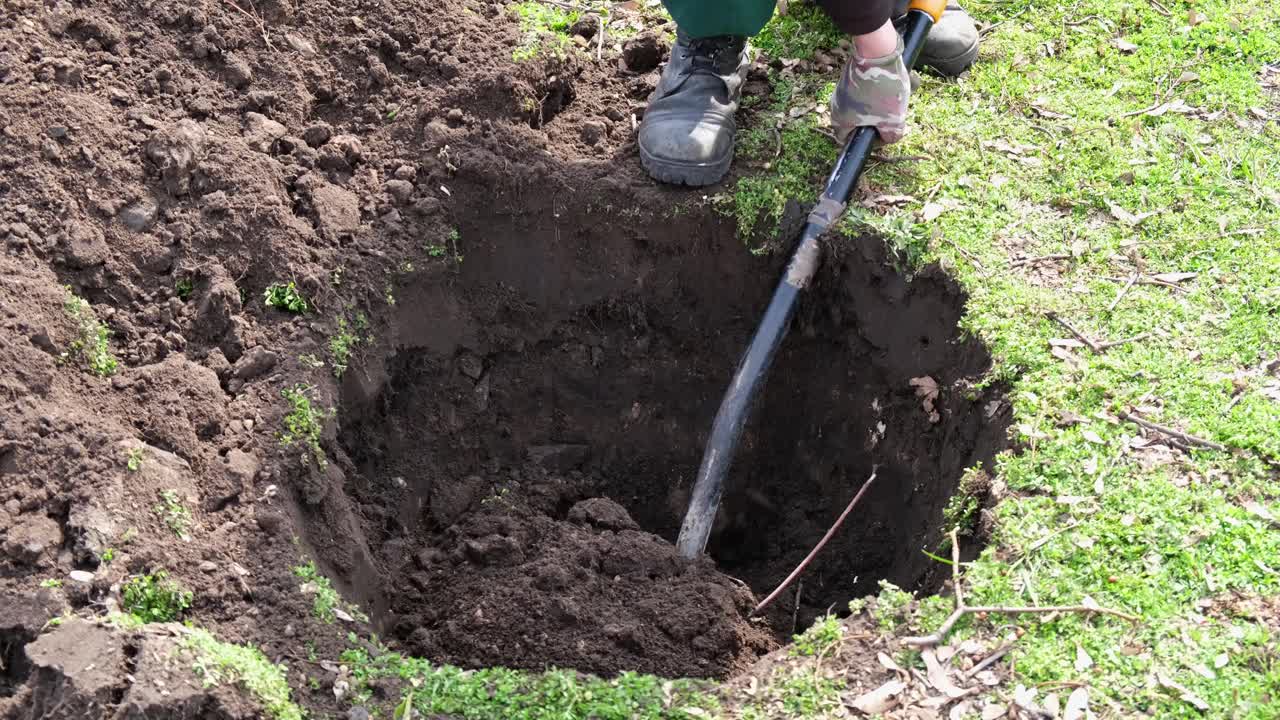 那个人在地上用铲子挖洞。植树。铲子在挖地。视频下载