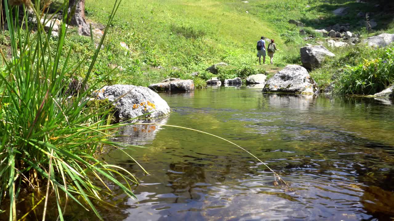 山清澈的溪水和绿色的田野视频素材