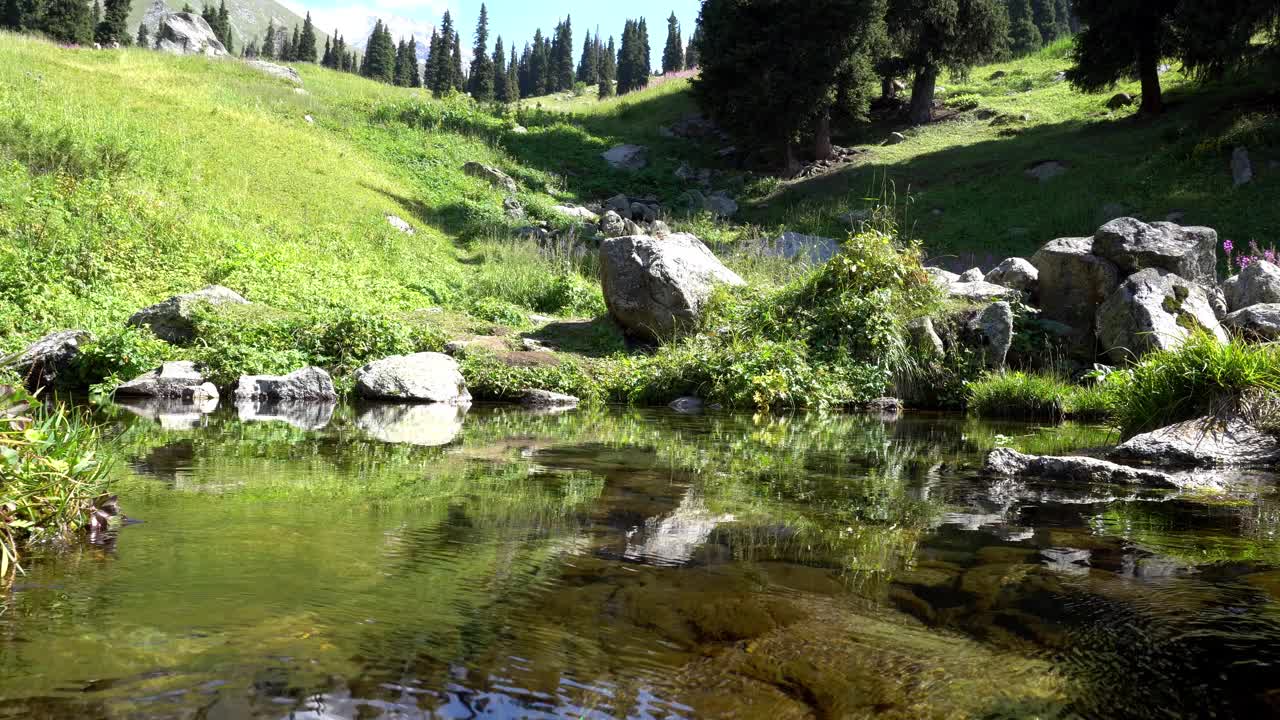山清澈的溪水和绿色的田野视频素材