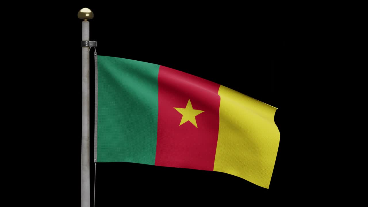 3D，喀麦隆国旗迎风飘扬。喀麦隆旗帜吹软丝。视频素材
