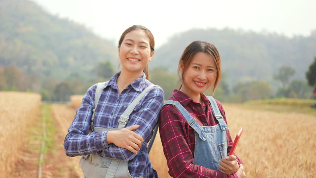 两个亚洲女农民一起在麦田里劳作的4K肖像视频下载