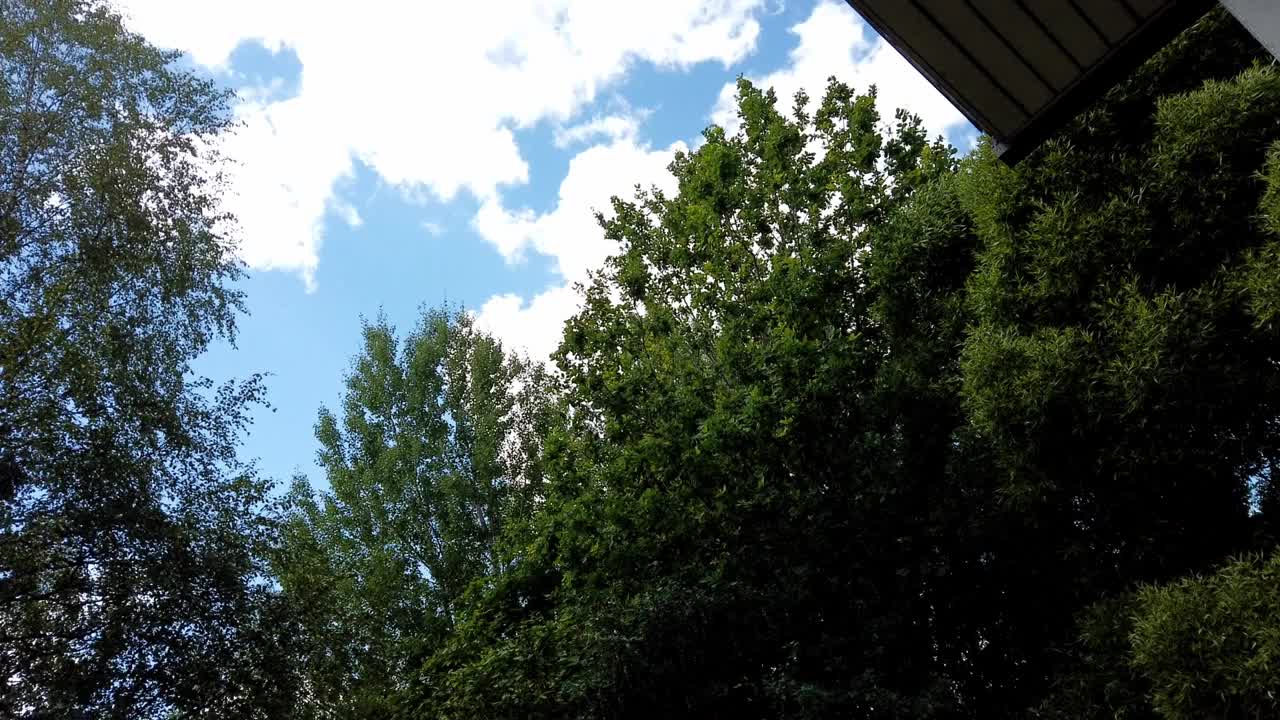时间流逝的视频夏天的天空在后院视频素材