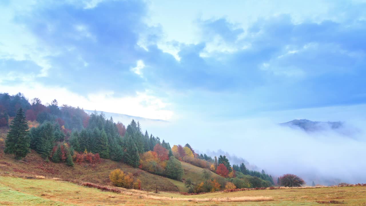 秋天的风景，山上有雾。山上的冷杉林。视频素材