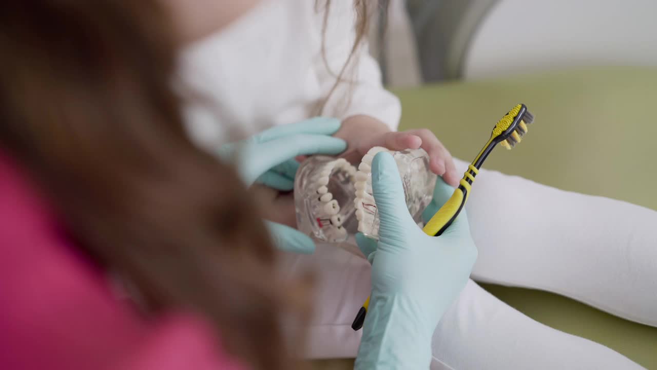 孩子在牙医那里用牙刷和下颌模型正确刷牙视频素材