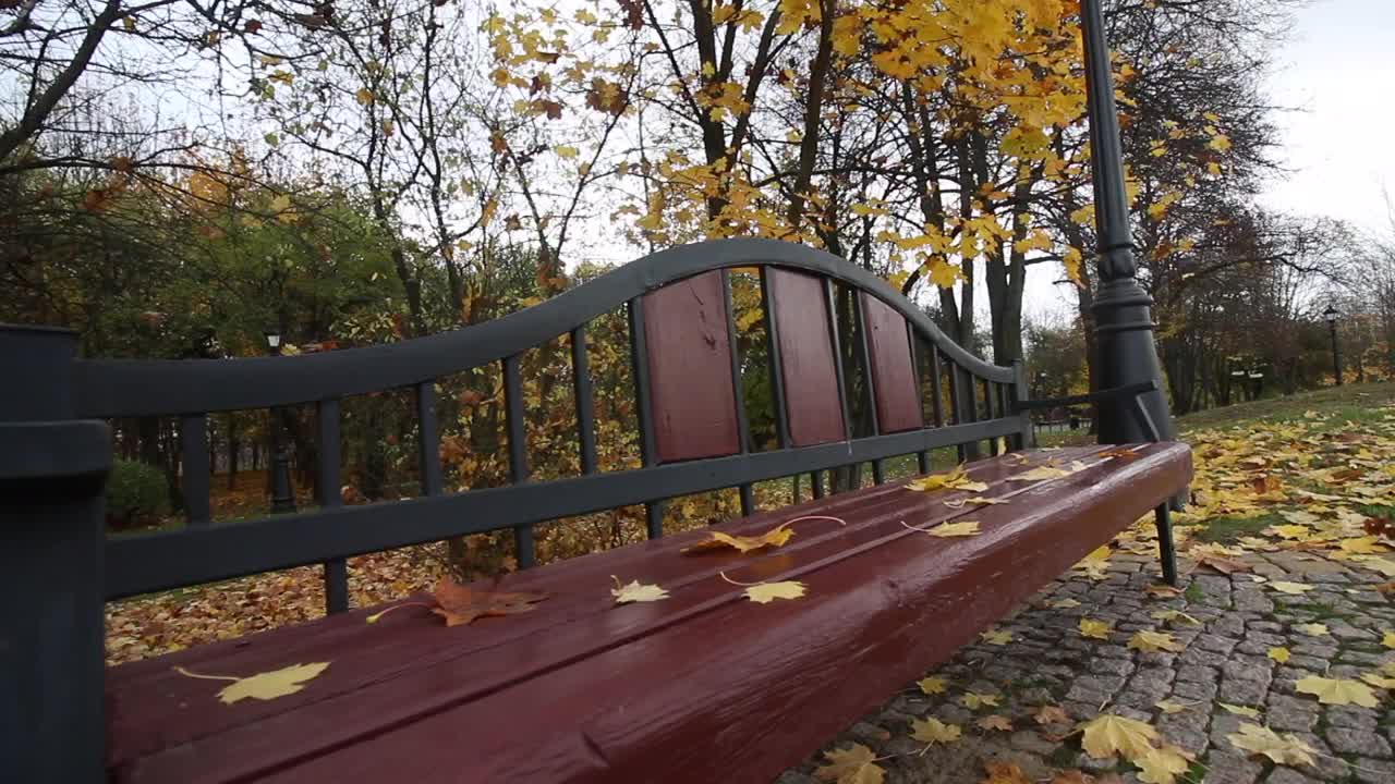 秋天的城市公园。风吹得枯叶飘动。可以看到一条长凳和人行道。视频素材