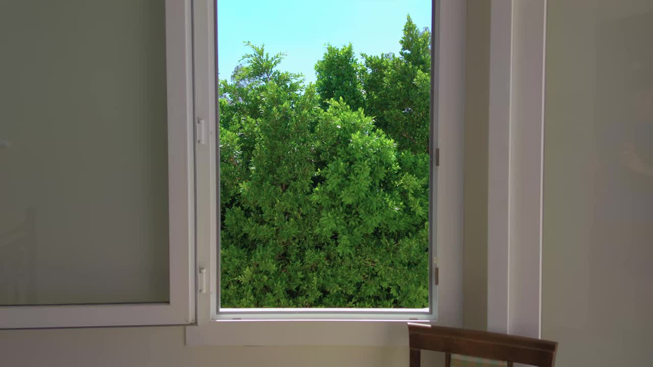 窗外的绿树视频素材