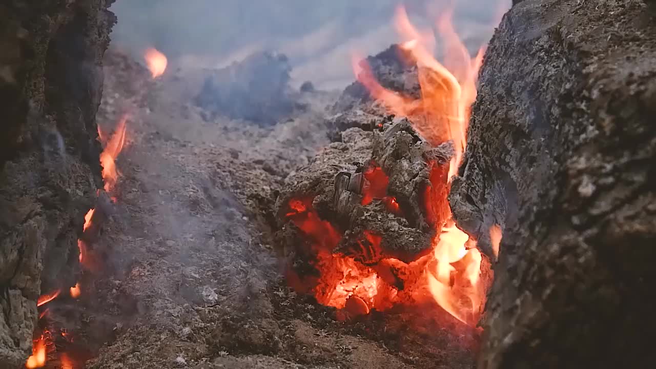 一棵烧焦的树的煤块上的火和烟。森林大火。视频素材
