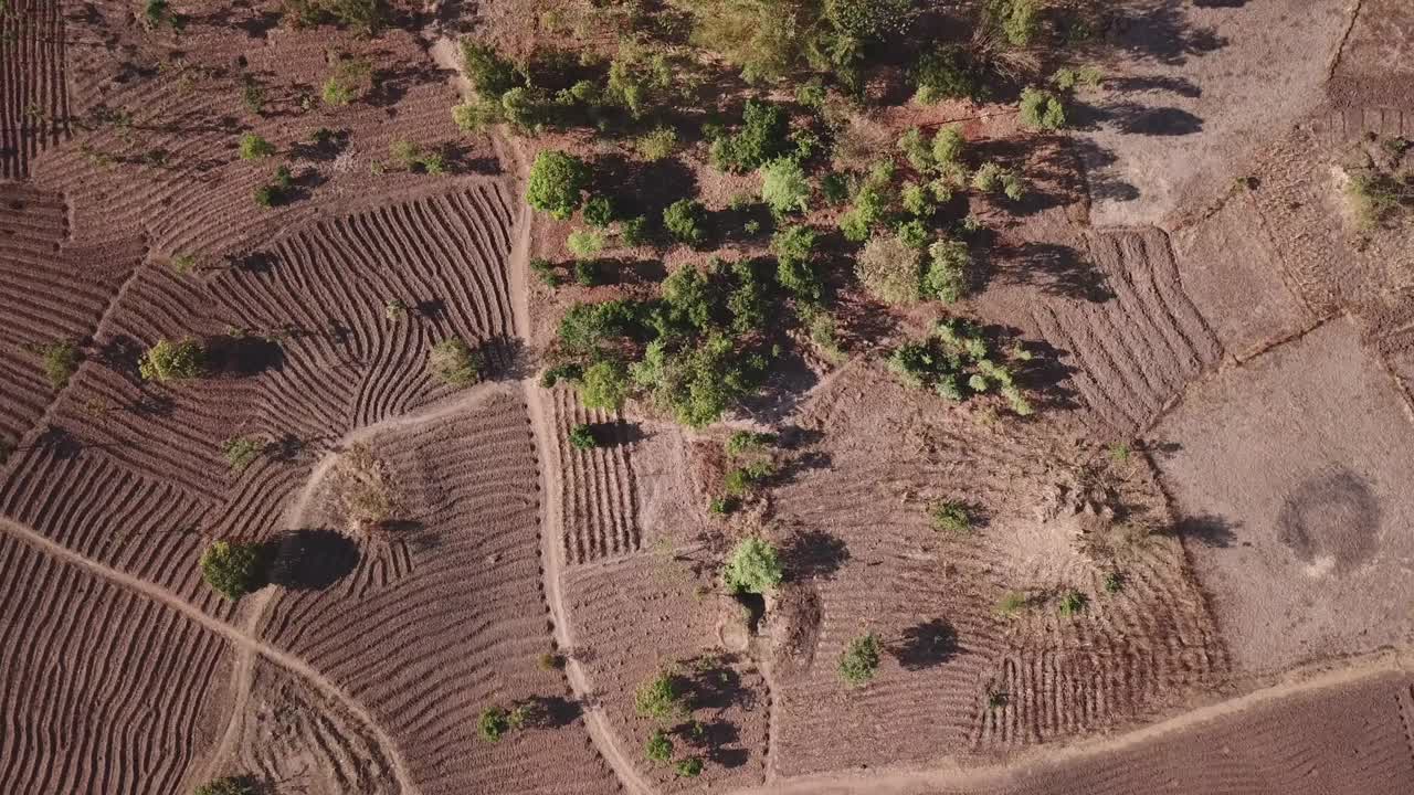 农田和收获谷物传统村庄马拉维东非无人机鸟瞰图视频下载