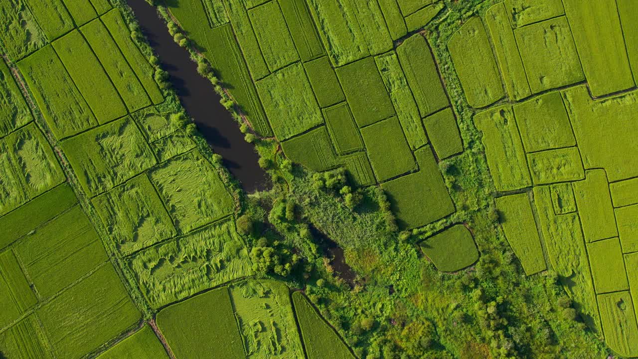 鸟瞰图的农业领域视频下载