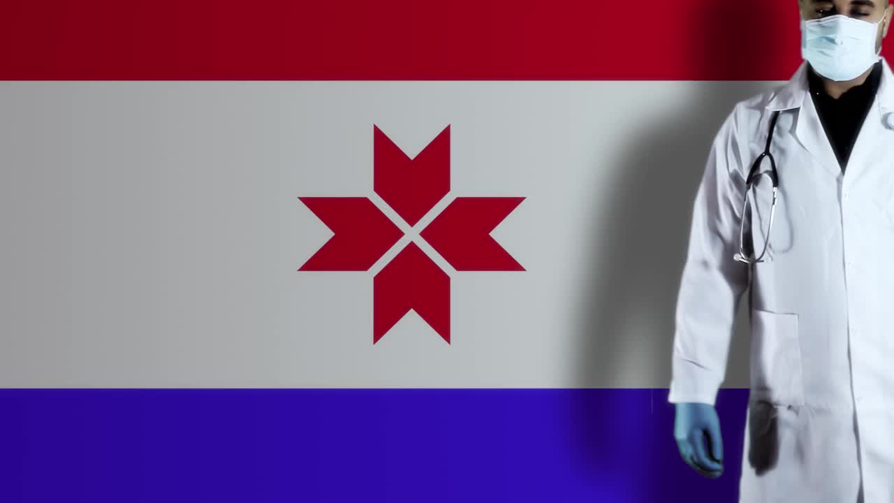 摩尔多瓦，安的列斯带着国旗的医生视频素材