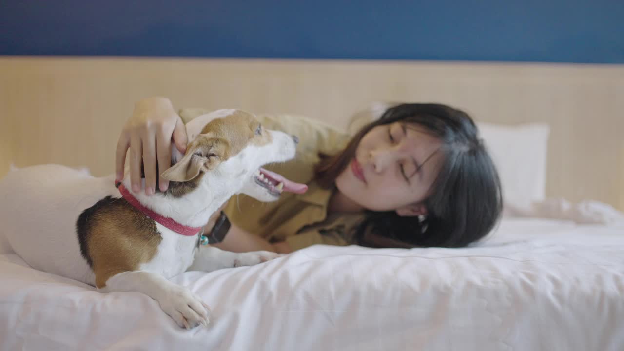 一个年轻的亚洲女人躺在床上被她的狗舔了脸视频下载