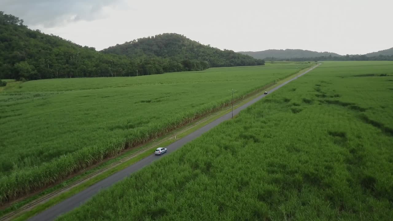 无人机鸟瞰图昆士兰澳大利亚甘蔗农业视频下载