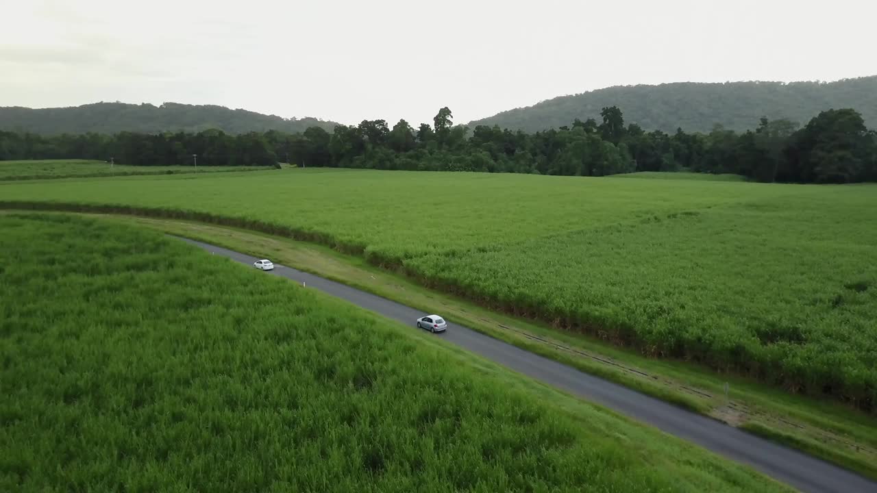 无人机鸟瞰图昆士兰澳大利亚甘蔗农业视频下载