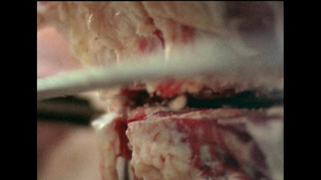 伦敦史密斯菲尔德市场屠宰和切割的肉;1978视频下载