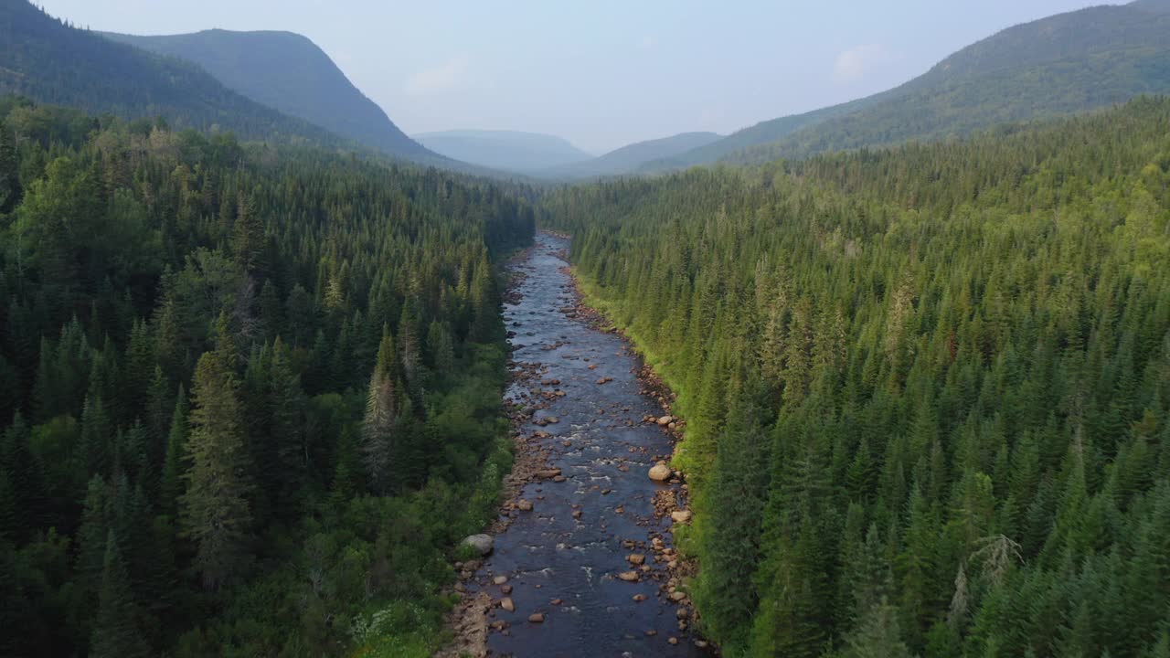 鸟瞰图的北方自然森林和河流在夏天，魁北克，加拿大视频下载