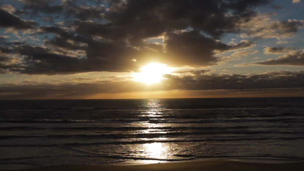 鸟儿在金色的日出中在海滩上飞翔。视频素材