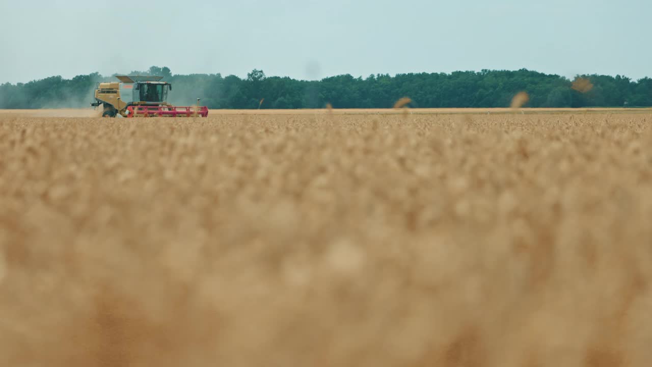 SLO MO联合收割机在田间收获小麦视频下载
