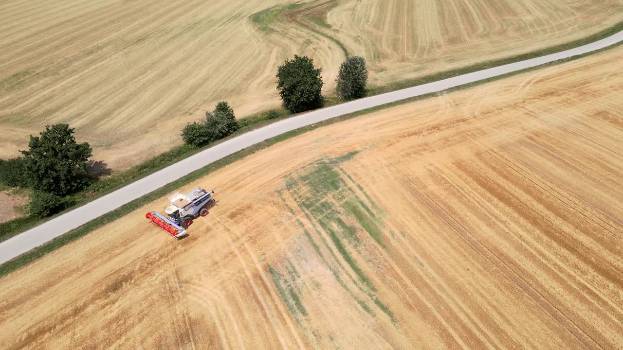 在田里收割小麦的联合收割机视频素材