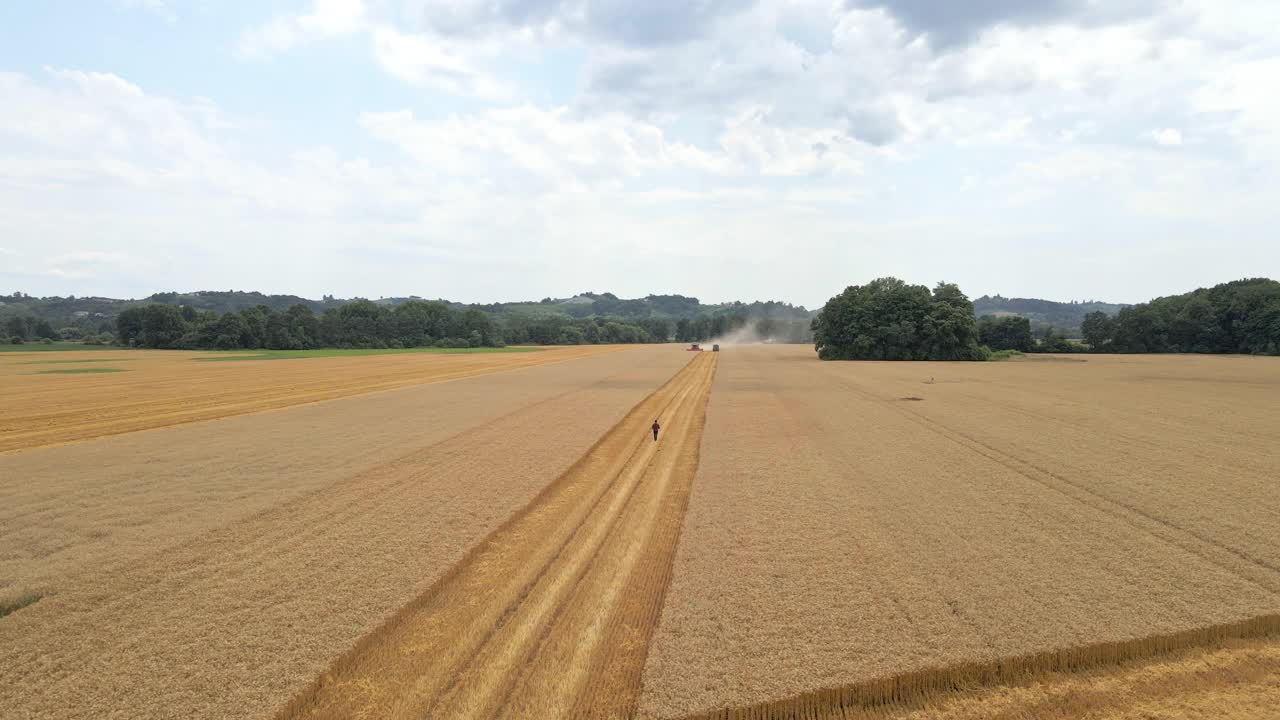 农民走在两台联合收割机后面收割小麦视频下载