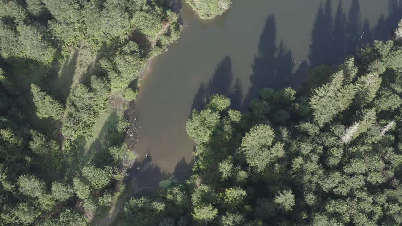 特拉布宗城市池塘中间的森林顶部视图视频素材