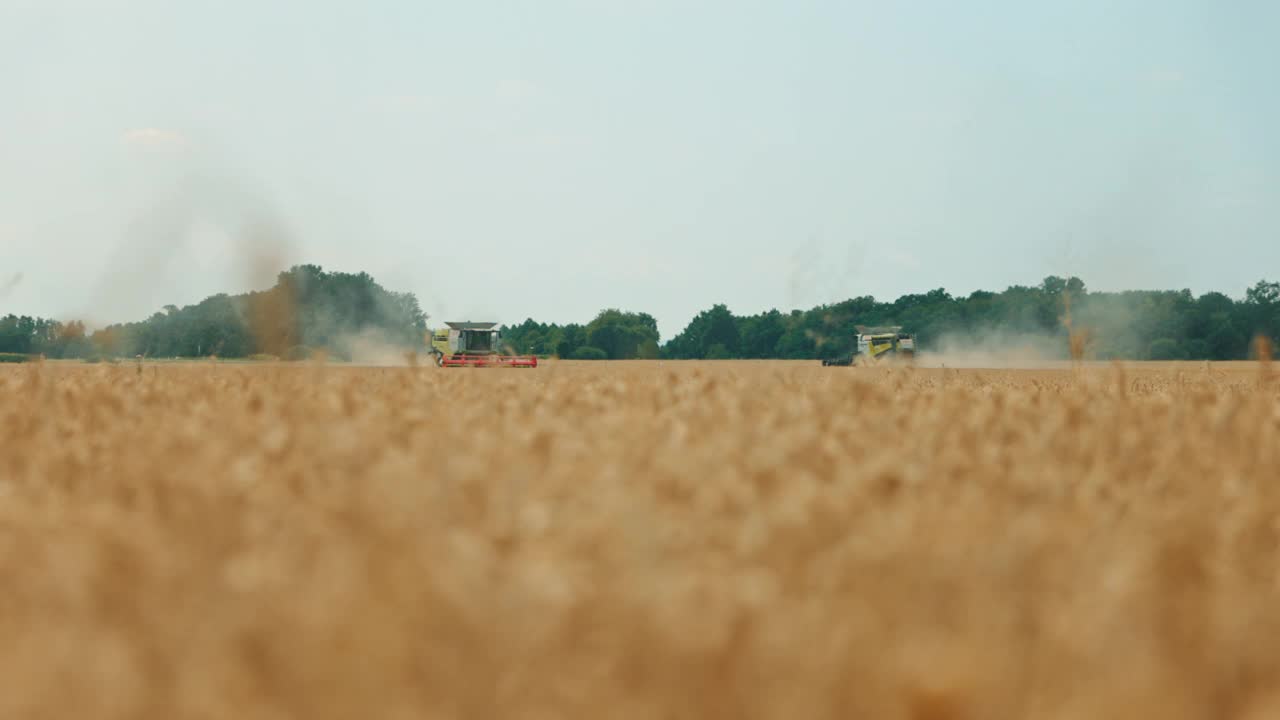 两台联合收割机在田里收割小麦视频下载