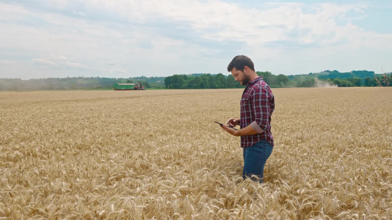 当联合收割机收割小麦时，农夫在麦田中央使用数码平板电脑视频素材