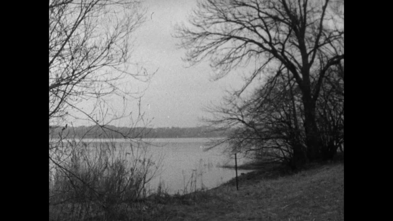 放大到巴伐利亚州施塔恩伯格湖边缘的光秃秃的树木;1964视频下载