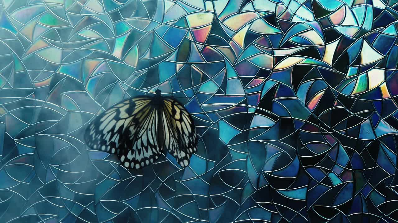 彩色玻璃上的纸风筝蝴蝶视频下载