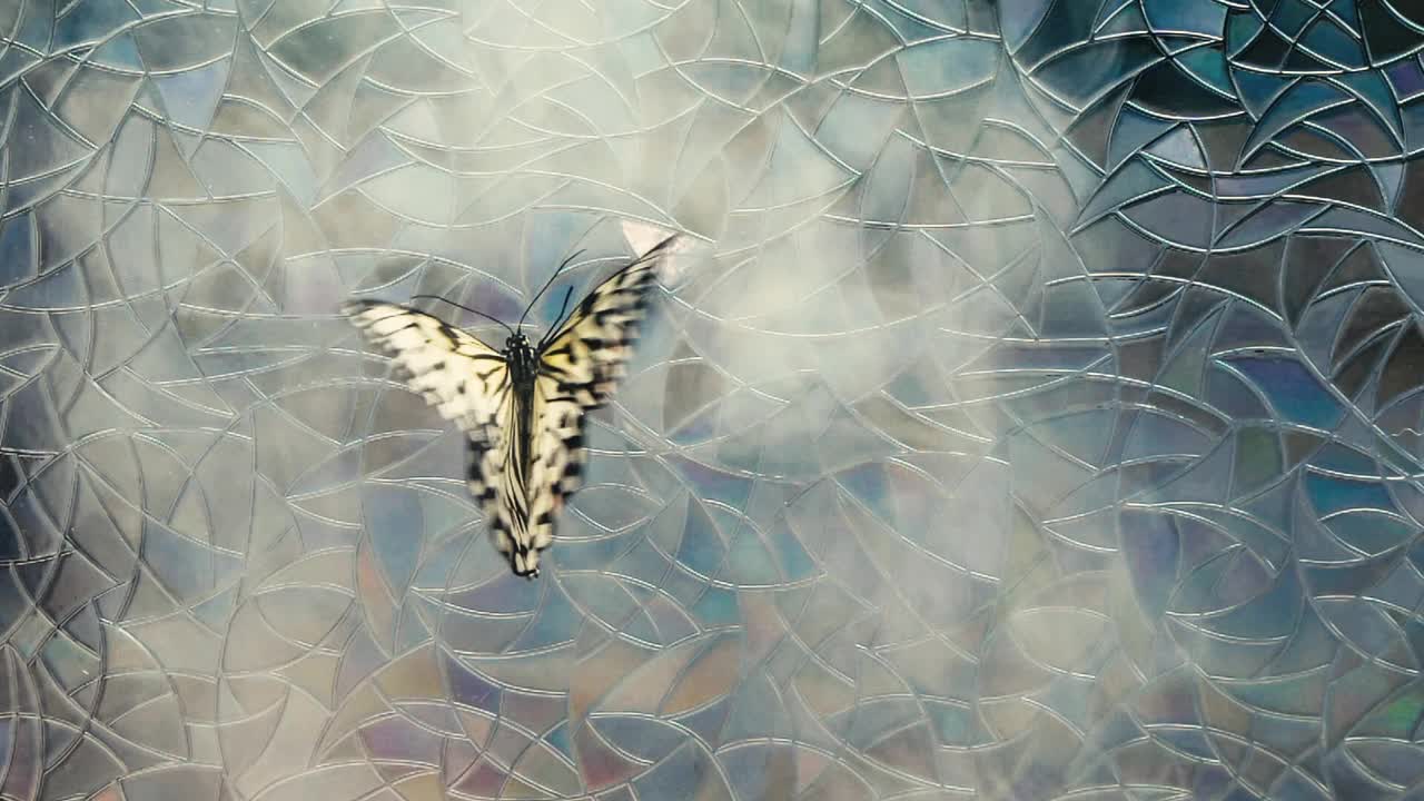 彩色玻璃上的纸风筝蝴蝶视频下载