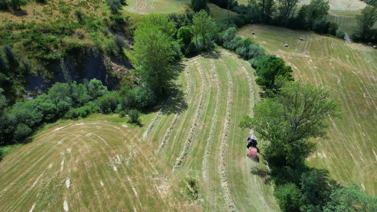 皮卡斯德欧罗巴地区公园的草坪。利昂。卡斯蒂利亚里昂，西班牙，欧洲视频下载