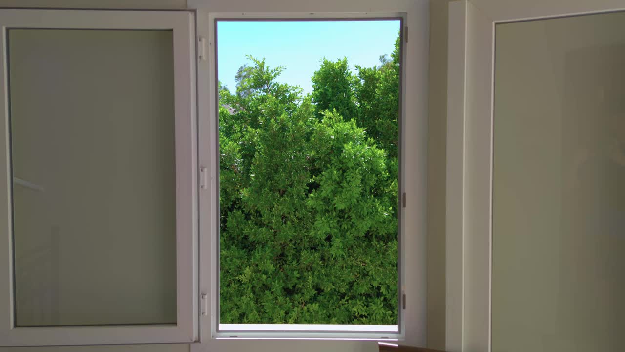 从窗户往花园看视频素材