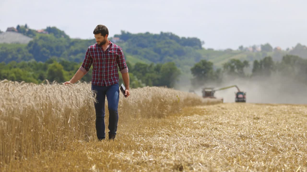 一位农民手里拿着一个电子平板电脑，走在一片麦田里，触摸着麦穗视频素材